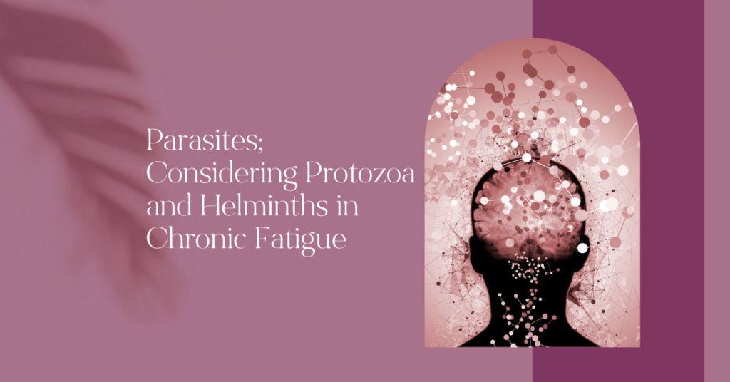 Parasites and Chronic Fatigue